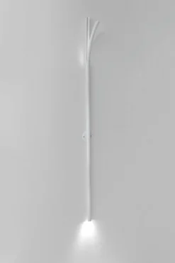 Cana Wall Lamp