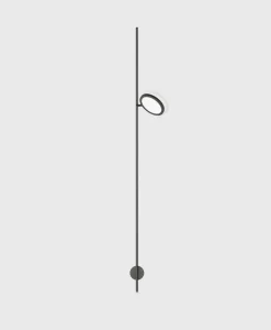 Discus Wall Climber 1