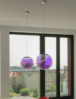 Iris Globe